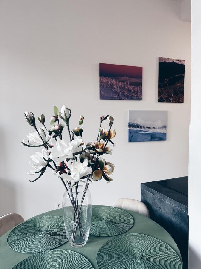 Апартаменти Loft Przy Placu Niepodleglosci Єленя-Ґура Екстер'єр фото